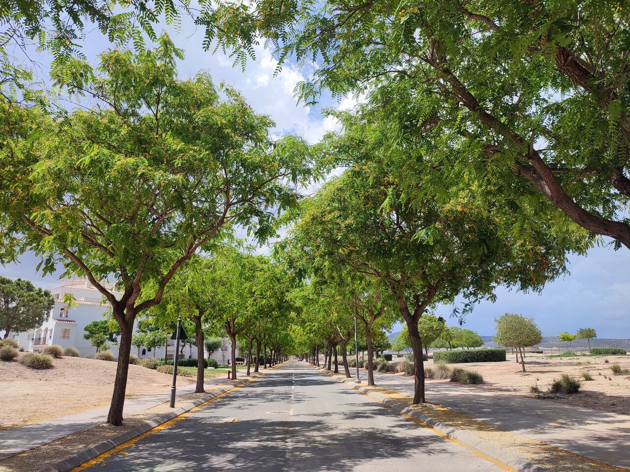 Appartement te koop in Hacienda Riquelme Golf Resort, Murcia